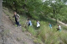 Fumarole di San Filippo e Fosso Bianco