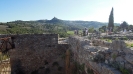 Escursione naturalistica a Castiglion d'Orcia del 28.9