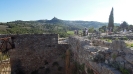 Escursione naturalistica a Castiglion d'Orcia del 28.9