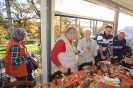 Raccolta funghi a Pentolina e pranzo a San Galgano