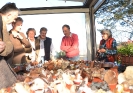 Raccolta funghi a Pentolina e pranzo a San Galgano