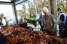 Raccolta funghi a Pentolina e pranzo a San Galgano