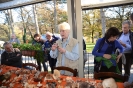 Raccolta funghi a Pentolina e pranzo a San Galgano