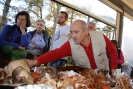 Raccolta funghi a Pentolina e pranzo a San Galgano