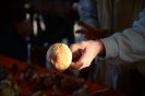 Raccolta funghi a Pentolina e pranzo a San Galgano