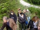 Sul Monte Amiata alla ricerrca del prugnolo