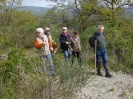 Sul Monte Amiata alla ricerrca del prugnolo
