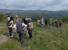 Sul Monte Amiata alla ricerrca del prugnolo