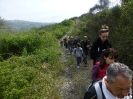 Sul Monte Amiata alla ricerrca del prugnolo