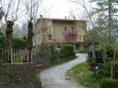 Sul Monte Amiata alla ricerrca del prugnolo