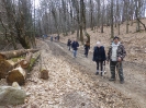 Sul Monte Amiata alla ricerca del 
