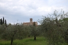 Visita alla Certosa di Pontignano