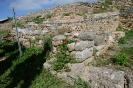 Escursione naturalistica a Roselle 