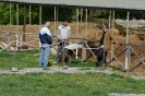 Escursione naturalistica a Roselle 
