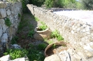 Escursione naturalistica a Roselle 