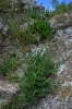 Escursione naturalistica a Roselle 