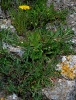 Escursione naturalistica a Roselle 