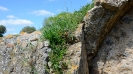 Escursione naturalistica a Roselle 