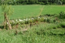 Escursione naturalistica Montaperti e Chiesa di Sant'Ansano