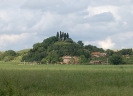 Escursione naturalistica Montaperti e Chiesa di Sant'Ansano