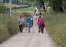 Escursione naturalistica Montaperti e Chiesa di Sant'Ansano