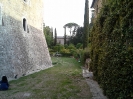 Corso per raccoglitori funghi a Ville di Corsano