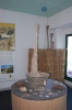 Corso per raccoglitori funghi a Montepulciano