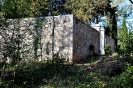 Anello Colle Ciupi - Fungaia
