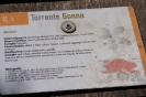 Geosito della Gonna con il Prof. Costantini