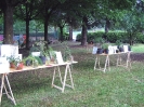 Mostra delle erbe spontanee
