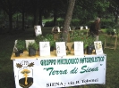 Mostra delle erbe spontanee