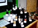 Mostra Micologica Senese