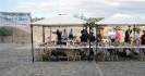 Mostra Micologica a Monteriggioni