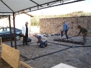 Mostra Micologica a Monteriggioni