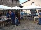 Mostra Micologica a Monteriggioni