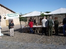 Mostra Micologica a Monteriggioni