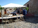 Mostra Micologica a Monteriggioni