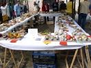 Mostra Micologica a Monteriggioni
