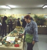 Mostra Micologica Senese