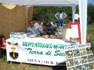 Festa della Montagnola Senese