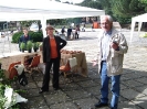 Mostra delle erbe spontanee