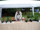 Mostra delle erbe spontanee