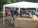 Mostra delle erbe spontanee