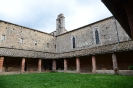 Mostra Micologica a Monticiano