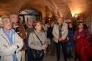  XVIII Mostra Micologica Senese 