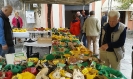Mostra Micologica a Asciano