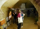 XIX Mostra Micologica Senese