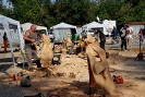Mostra micologica a Monticiano