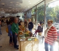 Mostra micologica alla COOP le Grondaie