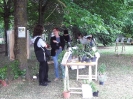 Mostra delle erbe spontanee